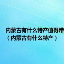 内蒙古有什么特产值得带回去的(内蒙古有什么特产)