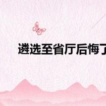 遴选至省厅后悔了