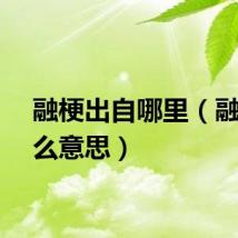 融梗出自哪里（融梗什么意思）