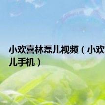 小欢喜林磊儿视频(小欢喜林磊儿手机)