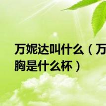 万妮达叫什么（万妮达胸是什么杯）