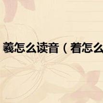 羲怎么读音（着怎么读）