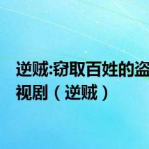 逆贼:窃取百姓的盗贼 电视剧(逆贼)