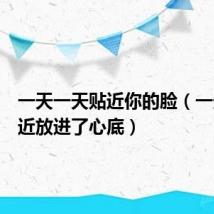 一天一天贴近你的脸(一天天贴近放进了心底)