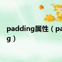 padding属性(padding)