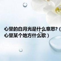 心里的白月光是什么意思?(白月光心里某个地方什么歌)