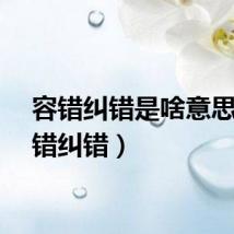 容错纠错是啥意思（容错纠错）