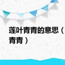 莲叶青青的意思（莲叶青青）