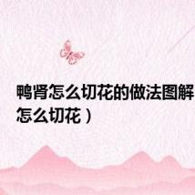 鸭肾怎么切花的做法图解（鸭肾怎么切花）