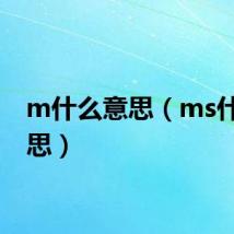 m什么意思（ms什么意思）