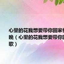 心里的花我想要带你回家什么歌春晚(心里的花我想要带你回家什么歌)
