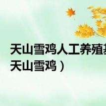天山雪鸡人工养殖基地（天山雪鸡）