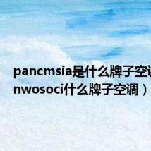 pancmsia是什么牌子空调(panwosoci什么牌子空调)