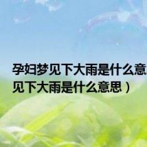 孕妇梦见下大雨是什么意思(梦见下大雨是什么意思)