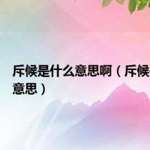 斥候是什么意思啊（斥候是什么意思）