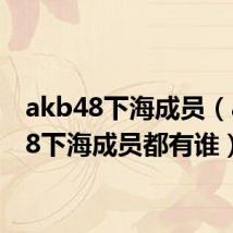 akb48下海成员(akb48下海成员都有谁)
