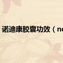 诺迪康胶囊功效（ndk）