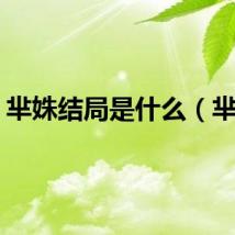 芈姝结局是什么（芈姝）