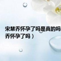 宋慧乔怀孕了吗是真的吗(宋慧乔怀孕了吗)