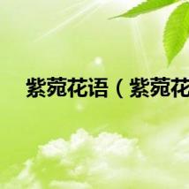 紫菀花语（紫菀花）