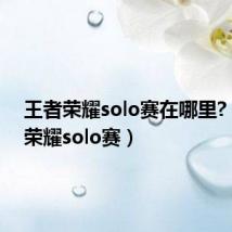 王者荣耀solo赛在哪里?(王者荣耀solo赛)
