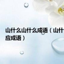 山什么山什么成语(山什么什么应成语)