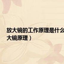 放大镜的工作原理是什么?(放大镜原理)