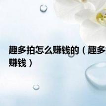 趣多拍怎么赚钱的（趣多拍怎么赚钱）