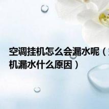 空调挂机怎么会漏水呢(空调挂机漏水什么原因)