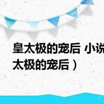 皇太极的宠后 小说（皇太极的宠后）