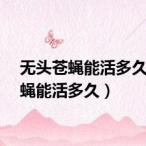 无头苍蝇能活多久（苍蝇能活多久）