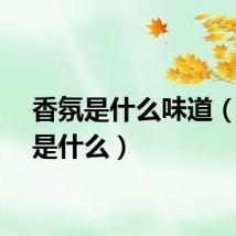 香氛是什么味道（香氛是什么）