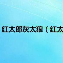 红太郎灰太狼（红太郎）