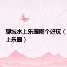 聊城水上乐园哪个好玩(聊城水上乐园)