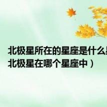 北极星所在的星座是什么星座?（北极星在哪个星座中）