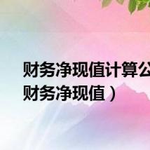 财务净现值计算公式（财务净现值）