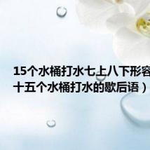 15个水桶打水七上八下形容什么（十五个水桶打水的歇后语）