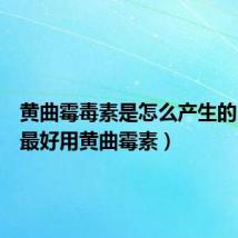 黄曲霉毒素是怎么产生的（下毒最好用黄曲霉素）