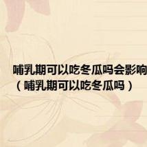 哺乳期可以吃冬瓜吗会影响宝宝吗(哺乳期可以吃冬瓜吗)