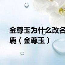 金尊玉为什么改名大角鹿（金尊玉）