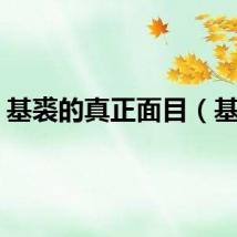基裘的真正面目（基裘）