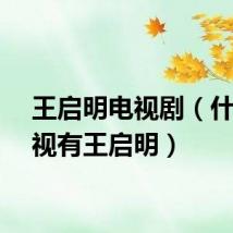 王启明电视剧（什么电视有王启明）
