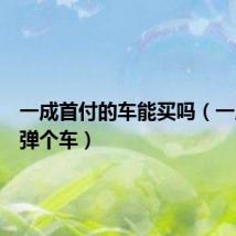 一成首付的车能买吗(一成首付弹个车)