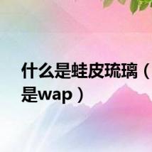 什么是蛙皮琉璃(什么是wap)