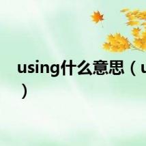 using什么意思(using)