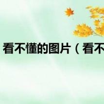 看不懂的图片（看不懂）