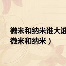 微米和纳米谁大谁小(微米和纳米)