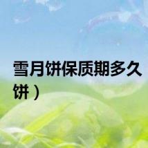 雪月饼保质期多久（雪月饼）