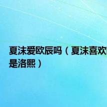夏沫爱欧辰吗(夏沫喜欢欧辰还是洛熙)
