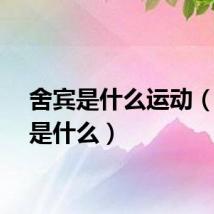 舍宾是什么运动(舍宾是什么)